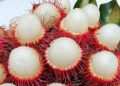 Cek di Sini, Konsumsi Buah Rambutan Baik untuk Ibu Hamil, Ini Manfaatnya