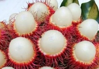 Cek di Sini, Konsumsi Buah Rambutan Baik untuk Ibu Hamil, Ini Manfaatnya