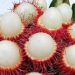 Cek di Sini, Konsumsi Buah Rambutan Baik untuk Ibu Hamil, Ini Manfaatnya
