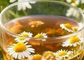 Cek di Sini! Merek Teh Chamomile Ini Bisa Jadi Konsumsi Sehari-hari, Cobain Sekarang