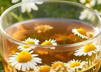 Cek di Sini! Merek Teh Chamomile Ini Bisa Jadi Konsumsi Sehari-hari, Cobain Sekarang