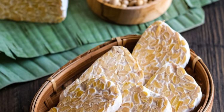 Cek Manfaat Tempe untuk Ibu Hamil, Ampuh Meminimalisir Gejala Pusing