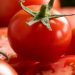 Fakta tentang Buah Tomat Sehari-hari, Cek di Sini! Menarik, Ada 7500 Varietas Pilihan