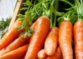 Cek di Sini! Ini Fakta Tentang Wortel yang Perlu Diketahui, Bisa Sebabkan Karotenemia