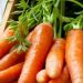Cek di Sini! Ini Fakta Tentang Wortel yang Perlu Diketahui, Bisa Sebabkan Karotenemia