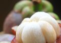 Efek Samping Makan Buah Manggis yang Jarang Diketahui! Cek Sekarang, Salah Satunya Bisa Sebabkan Ganggu kemoterapi