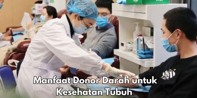 Ini Manfaat Lain Donor Darah yang Jarang Diketahui, Dapat Menjaga Kesehatan Mental