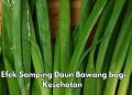 Daun Bawang Ini Bisa Sebabkan Interaksi dengan Obat, Cek Efek Samping di Sini