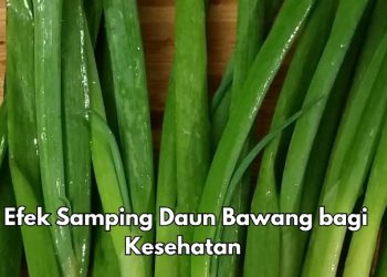 Daun Bawang Ini Bisa Sebabkan Interaksi dengan Obat, Cek Efek Samping di Sini