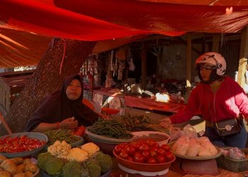 Harga Cabai di Rejang Lebong Naik Turun, Sempat Tembus Rp78 Ribu per Kilogram