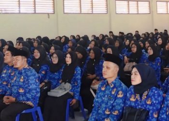 Dana Transfer Pusat Dipangkas Drastis, Ratusan PPPK Bengkulu Selatan Terancam Tak Gajian 2026