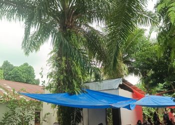 Bayi 2,5 Tahun Meninggal Dunia Usai Tertimpa Tandan Buah Sawit di Seluma