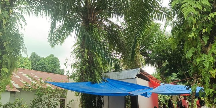 Bayi 2,5 Tahun Meninggal Dunia Usai Tertimpa Tandan Buah Sawit di Seluma