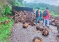 Berlebihan Muatan, Truk Sawit Terguling di Tanjakan Durian Bubur Talo