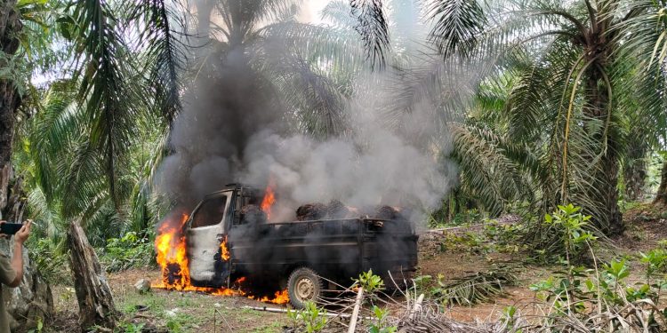 Dipakai Mencuri Sawit, Mobil Grand Max Hangus Dibakar Warga