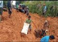 4 Desa di Seluma Utara Terancam Terisolir, Jalan Rusak Parah Akibat Hujan Deras