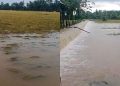24 Hektare Sawah di Kelurahan Talang Dantuk Terendam Banjir, Kerugian Capai Puluhan Juta