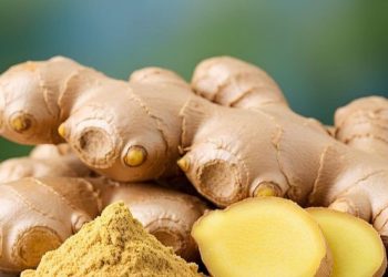 Jahe Bisa Menurunkan Gula Darah, Cek Manfaat di Sini! Aman Dikonsumsi Sehari-hari