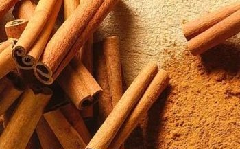 Ini Manfaat Lain Kayu Manis bagi Kecantikan, Ampuh Mencegah Penuaan Dini