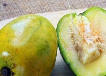 Cek Manfaat Buah Kedondong di Sini! Mampu Menjaga Kesehatan Kulit, Yuk Rutinkan