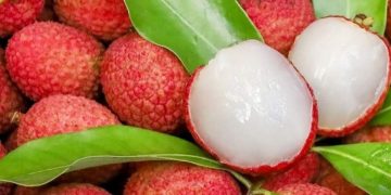 Makanan Sehat Ini Punya Vitamin C, Cek Rekomendasi Daftarnya di Sini!