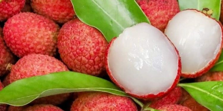 Makanan Sehat Ini Punya Vitamin C, Cek Rekomendasi Daftarnya di Sini!