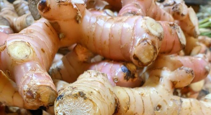 Efek Samping Lengkuas bagi Tubuh, Bisa Sebabkan Reaksi Alergi, Cek di Sini!