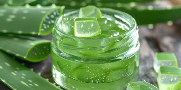Manfaat Lain Lidah Buaya bagi Kesehatan, Dapat Mendukung Pertumbuhan Rambut