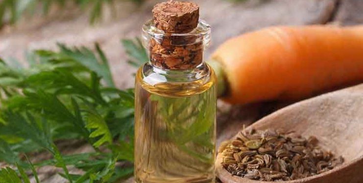 Manfaat Minyak Biji Wortel bagi Tubuh, Bisa Mencegah Infeksi Jamur, Cek Sekarang