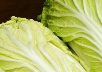 Cek Manfaat Sawi Putih untuk Kecantikan di Sini! Auto Bisa Mencerahkan Kulit