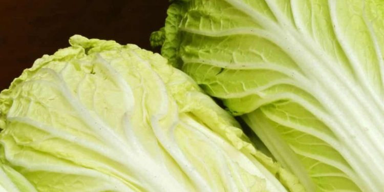 Cek Manfaat Sawi Putih untuk Kecantikan di Sini! Auto Bisa Mencerahkan Kulit