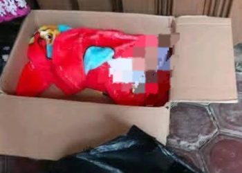 Heboh! Warga Taba Tebelet Kepahiang Temukan Bayi Perempuan di Dalam Kardus