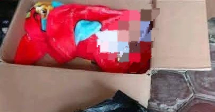 Heboh! Warga Taba Tebelet Kepahiang Temukan Bayi Perempuan di Dalam Kardus