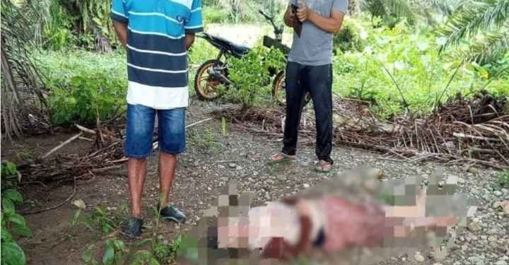 Nenek 75 Tahun Meninggal Dunia, Hanyut di Sungai Kedurang Bengkulu Selatan, Ini Kronologinya