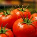 Ini Jenis Buah Tomat yang Perlu Diketahui Sehari-hari, Salah Satunya Tomat Apel