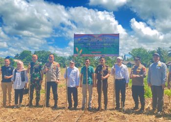 Polres Bengkulu Selatan Tanam Jagung Kuartal IV Secara Serentak, Dukung Swasembada Pangan Nasional 2025