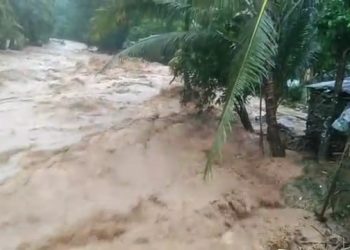 Pulang dari Kebun, Warga Desa Simpang Seluma Diduga Hilang Tenggelam
