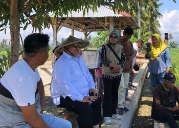 Tinjau Tanaman Padi di Datar Ruangau, Target Panen hingga 9 Ton per Hektare