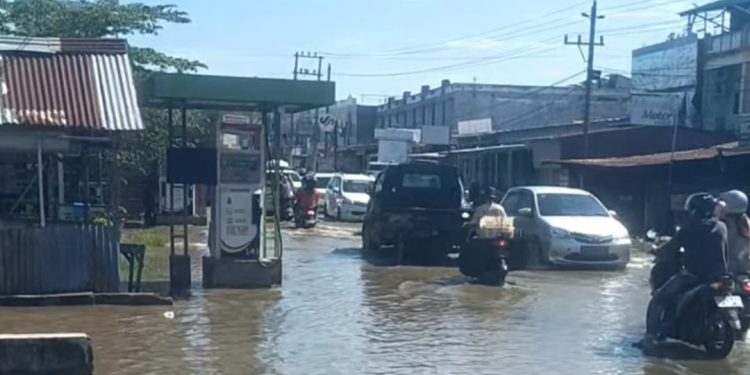 Pemprov Bengkulu Rancang Pembangunan Jalan Rawa Makmur: Fokus Pelebaran dan Peninggian