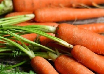 Cek di Sini! Manfaat Lain Wortel untuk Tubuh, Dapat Mengurangi Risiko Kanker