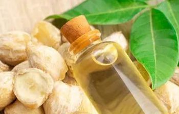 Ini Manfaat Lain Minyak Kemiri bagi Kesehatan Rambut, Ampuh Menghilangkan Ketombe