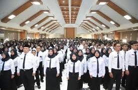 Sisa 2 Bulan Lagi, Status Honorer Berakhir 31 Desember 2025, Ini Solusi dari BKN!