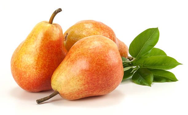 Temukan Karaktersitik dan Ciri Khas Buah Pir Disini, Ternyata Punya Ragam Jenis yang Berbeda Lho!