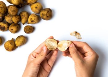 Mau Dapatkan Kulit Sehat dan Bebas Tanda Penuaan Dini? Cobalah untuk Mengonsumsi Buah Duku!