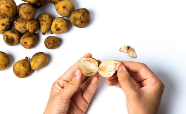 Mau Dapatkan Kulit Sehat dan Bebas Tanda Penuaan Dini? Cobalah untuk Mengonsumsi Buah Duku!