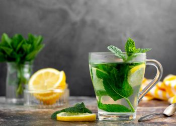 Bikin Sendiri Lebih Sehat! Ini Cara Olah Daun Mint Jadi Obat Herbal Tradisional