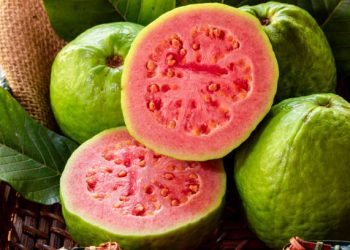 Jangan Anggap Sepele! Ini Dia Efek Samping Tersembunyi Konsumsi Buah Jambu Secara Berlebihan