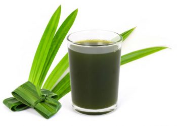 Dapat Meningkatkan Nafsu Makan hingga Atasi Insomnia, Ini Dia Manfaat Tersembunyi Air Rebusan Daun Pandan untuk Kesehatan