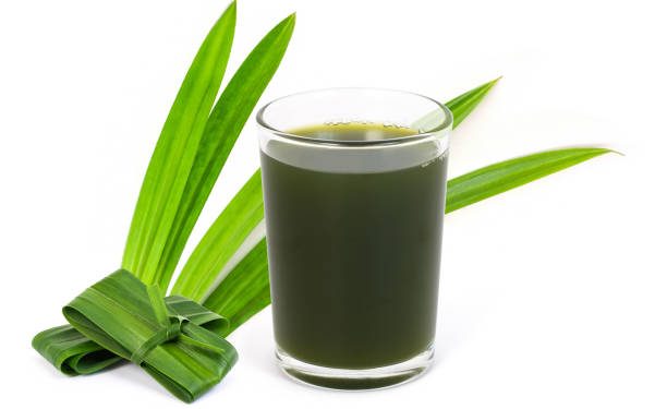 Dapat Meningkatkan Nafsu Makan hingga Atasi Insomnia, Ini Dia Manfaat Tersembunyi Air Rebusan Daun Pandan untuk Kesehatan