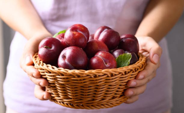 Klaim Disini Beberapa Manfaat Buah Plum untuk Kecantikan! Bisa Bantu Cegah Kerutan hingga Regenerasi Kulit
